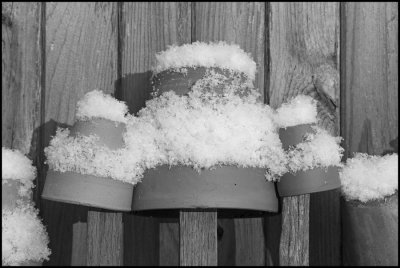 Snow Capped Pots-3
