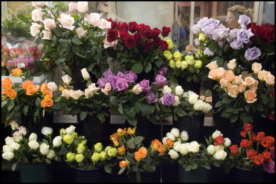 Chelsea Market Roses