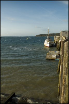 Maine Images 3-12-07_0024A.jpg