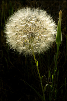 By the Side of the Road, Val d'Orcia