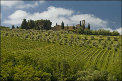 Between San Gimignano and Montepulciano