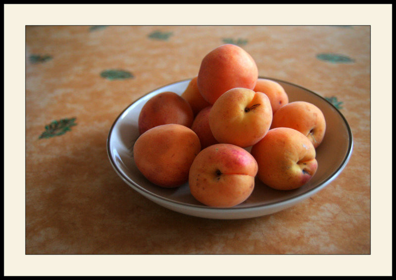 Nature Morte