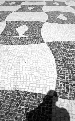 Angelo's Voronoi Tessellation, Estoril, Portugal