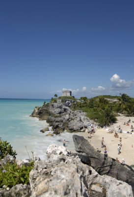 Iguana, Cancun, Mexico
