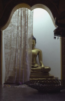 Hidden Buddah, Sri Lanka