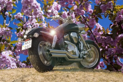 Honda VTX 1800