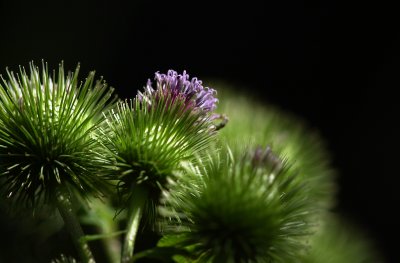 g6/43/739743/3/83795075.IGIkXF34.jpg