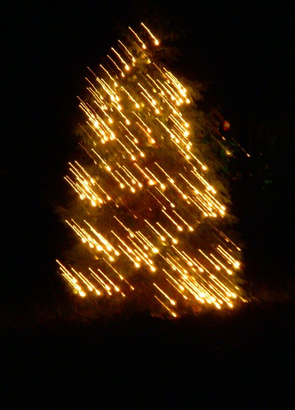 Tree/Lights