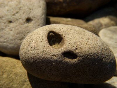 Rock
