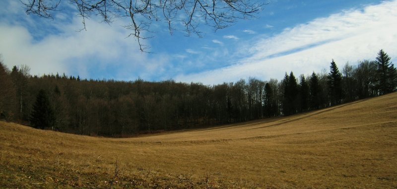 col de Vassieux