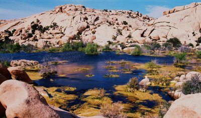 Hidden Dam at Joshua Tree (CA)