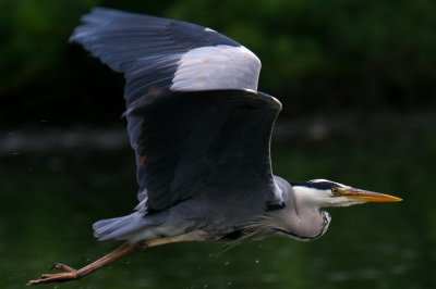 IMG_7087pspb.jpg