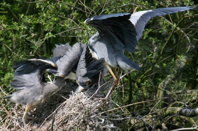 IMG_5897pspb.jpg