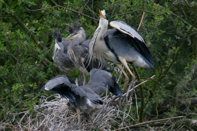 IMG_7216pspb.jpg