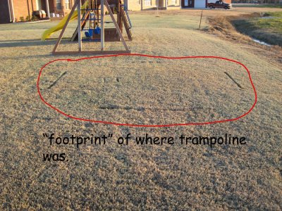 Trampoline Blown Away