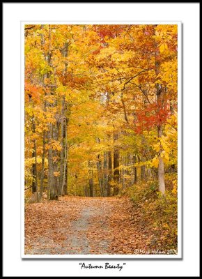 Salem Lake Walking Path - Winston Salem, NC