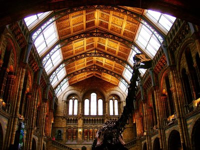 London Natural History museum