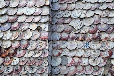 Seashell wall