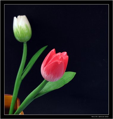 Tulips in wood