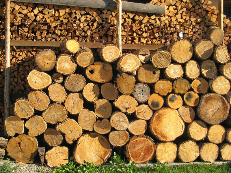 Trentino wood