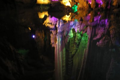 P6210129C.jpg