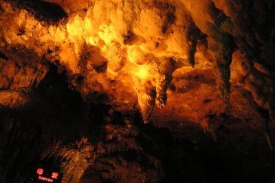 P6210186C.jpg