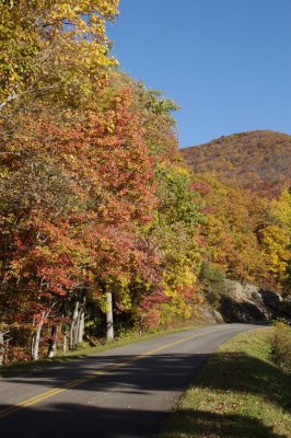 Parkway.jpg