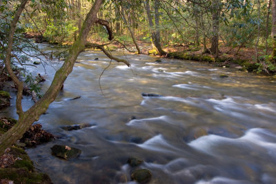 brevard