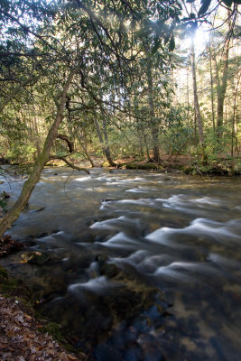 _MG_4295.jpg