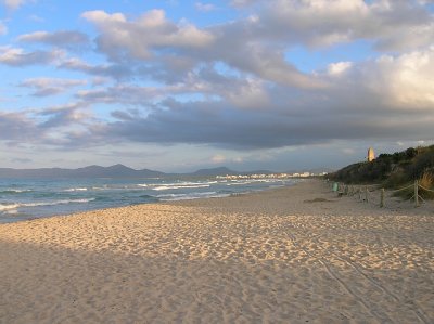 Bucht von Alcudia, Abendbesuch...