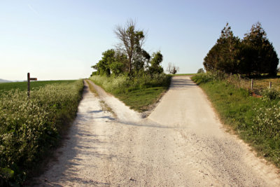 You arrive at a fork in the road....