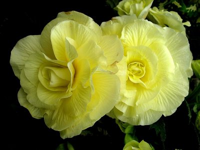 G6_IMG_2350.JPG