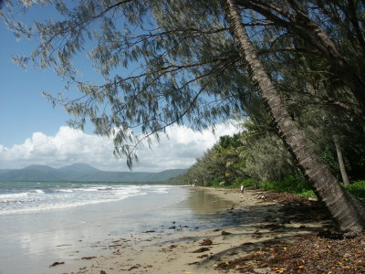 Beach at Port Douglas