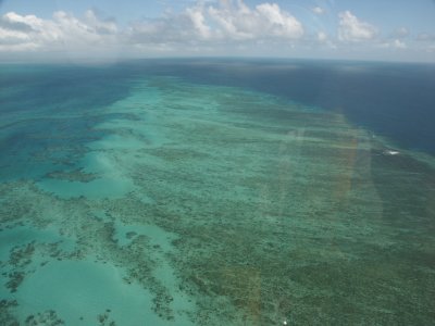 Helicopter flight - Gt. Barrier Reef