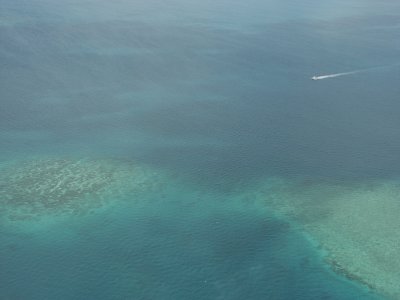 Helicopter flight - Gt. Barrier Reef - that boat is a large commercial power cat for diving