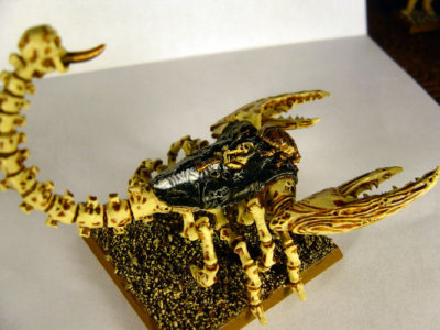 Scorpion_01.JPG