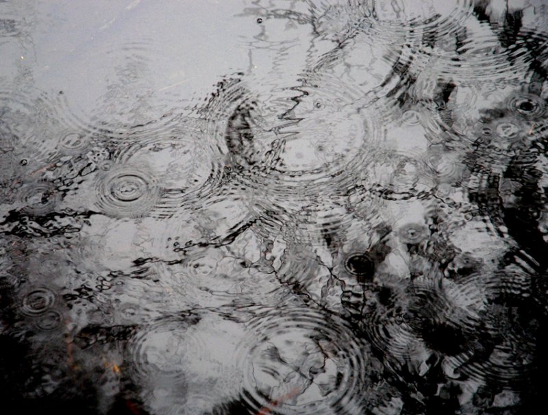 rainyday 52