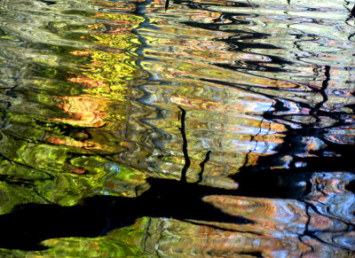 water meets fall