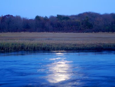 moonlight, zeke's creek 347