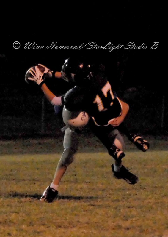 DSC_2445adjcropped.jpg