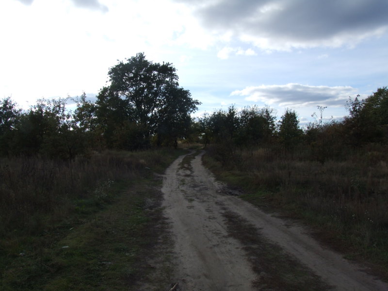 DSCF3867.JPG