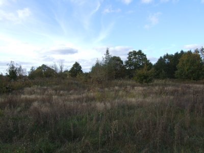 DSCF3864.JPG