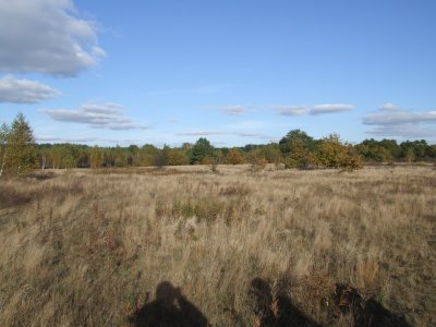 DSCF3873.JPG