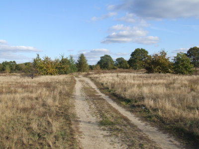 Legionowo, Surrounding Meadows, Autumn 2007