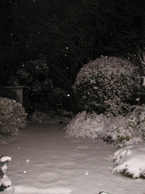 in the garden - 05.jpg