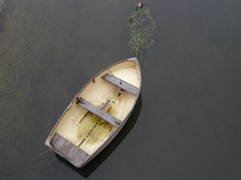 Snape- River Alde