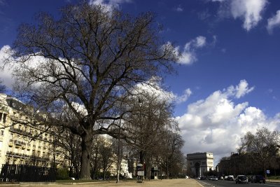 Paris 2006