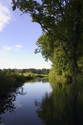 Golding stream closer