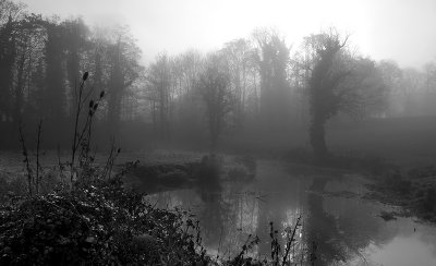 misty pond