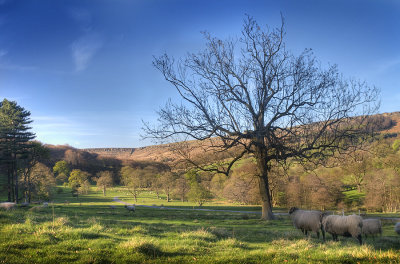 Hathersage view